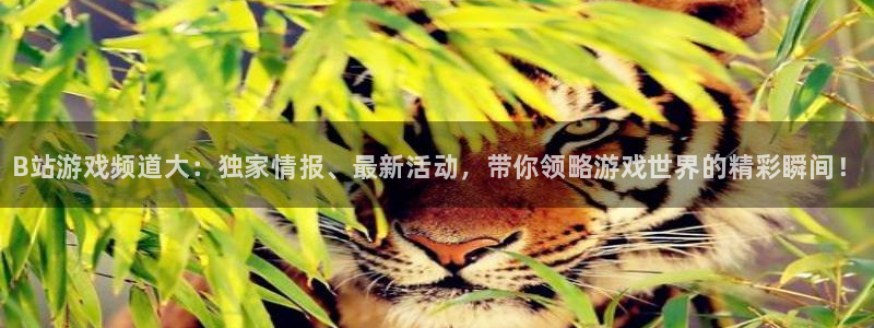 星欧娱乐：B站游戏频道大：独家情报、最新活动，带你领略游戏世
