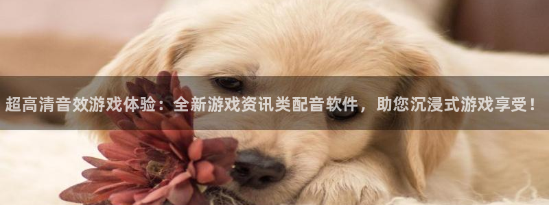 星欧娱乐官方平台：超高清音效游戏体验：全新游戏资讯类配音软件