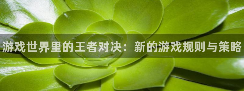 星欧娱乐网页登录入口下载：游戏世界里的王者对决：新的游戏规则