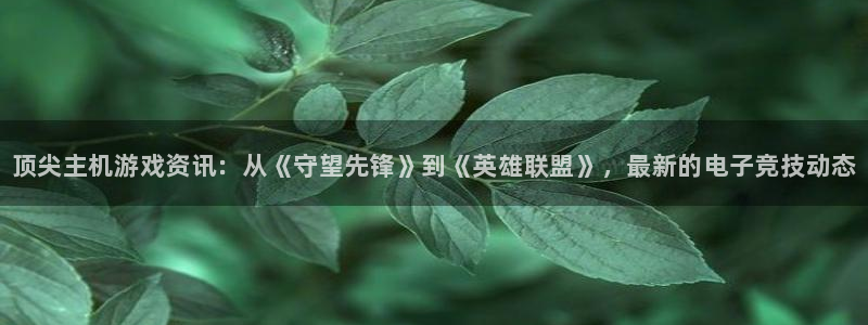 星欧娱乐app下载：顶尖主机游戏资讯：从《守望先锋》到《英雄