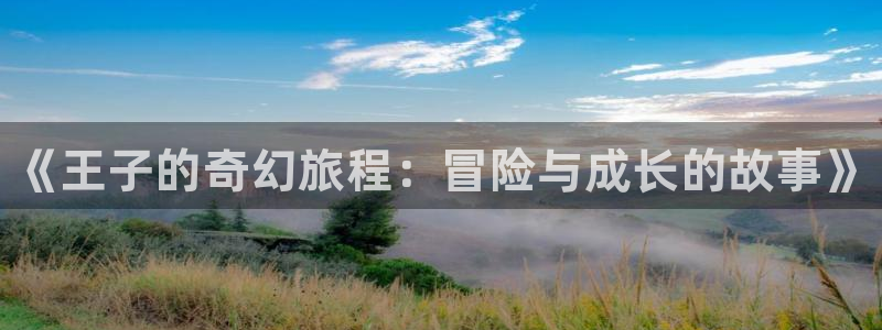 星欧娱乐主管：《王子的奇幻旅程：冒险与成长的故事》