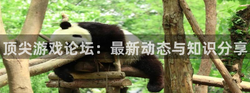 星欧娱乐在线登录：顶尖游戏论坛：最新动态与知识分享