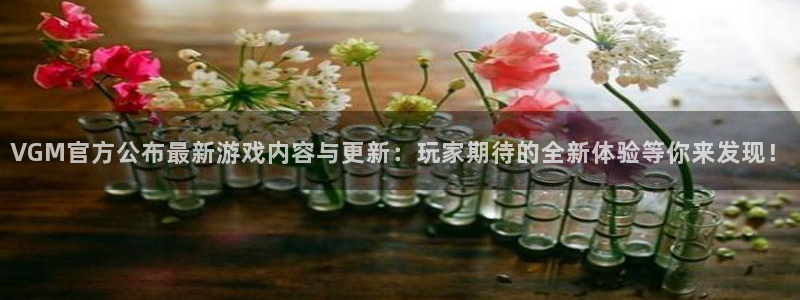 星欧娱乐官网