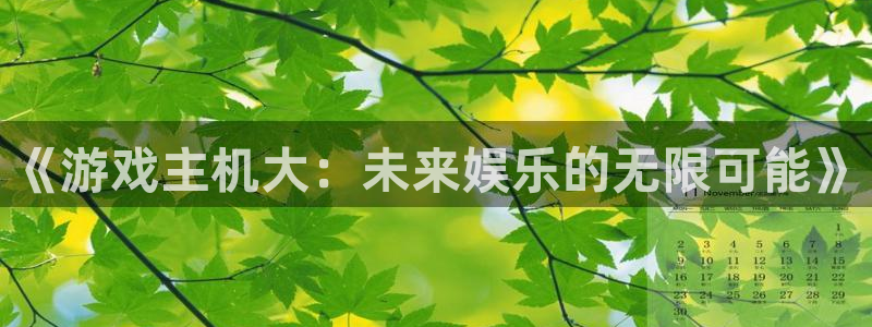 星欧娱乐网址官网：《游戏主机大：未来娱乐的无限可能》