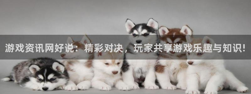 手机星欧娱乐下载安装：游戏资讯网好说：精彩对决，玩家共享游戏