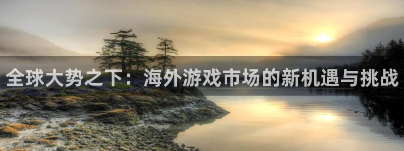 星欧娱乐测速：全球大势之下：海外游戏市场的新机遇与挑战