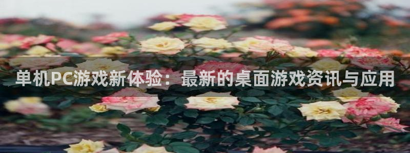 星欧娱乐是什么：单机PC游戏新体验：最新的桌面游戏资讯与应用
