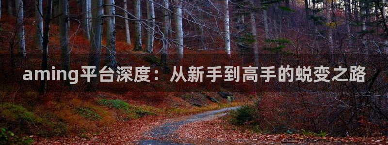 星欧娱乐网址官网：aming平台深度：从新手到高手的蜕变之路