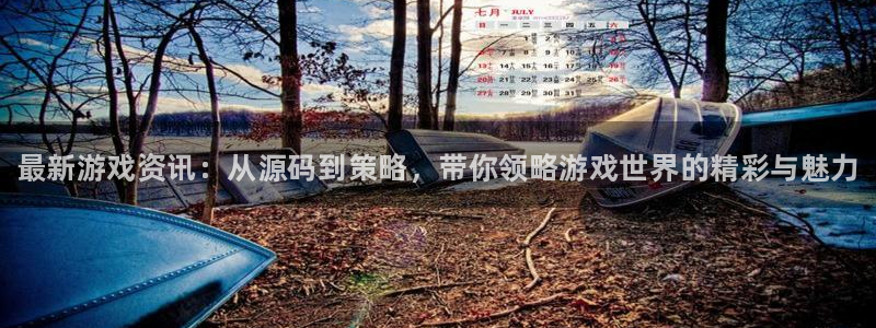 星欧娱乐怎么注册：最新游戏资讯：从源码到策略，带你领略游戏世