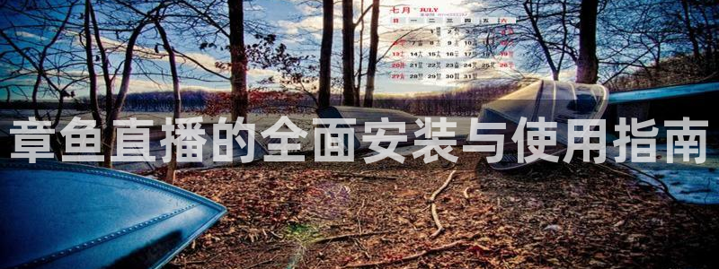 飞速免费直播nba：章鱼直播的全面安装与使用指南