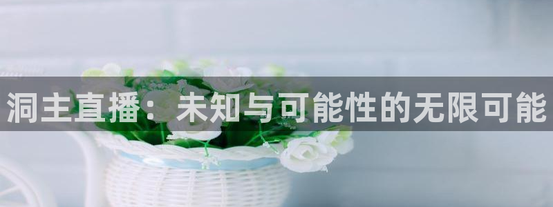 飞速直播nba无插件：洞主直播：未知与可能性的无限可能