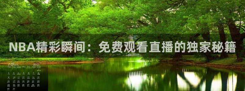 飞速体育直播安卓最新厅.发布新版.org：NBA精彩瞬间：免费观看直播的独家秘籍